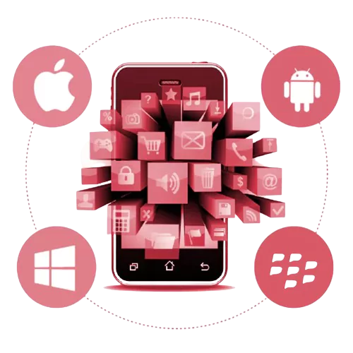 web App development